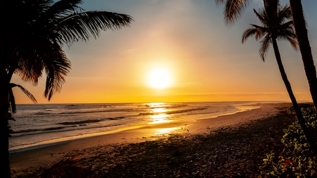 Vista da praia com pôr-do-sol e palmeiras