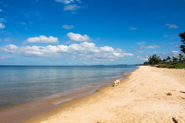 Vista da praia contra o céu nublado