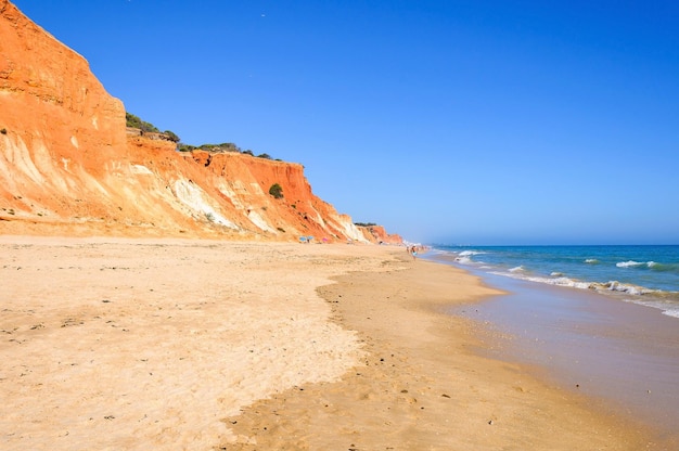 Foto vista da praia da falésia