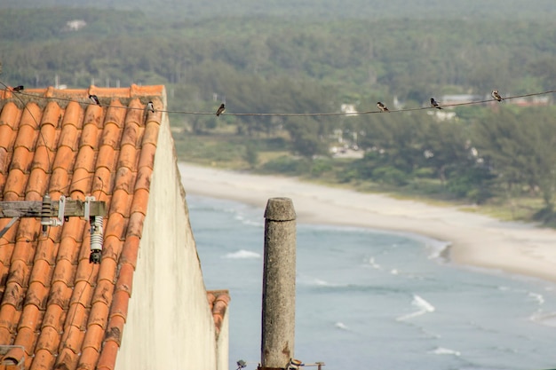 Vista da praia da restinga de Marambaia em Guaratiba no Rio de Janeiro.