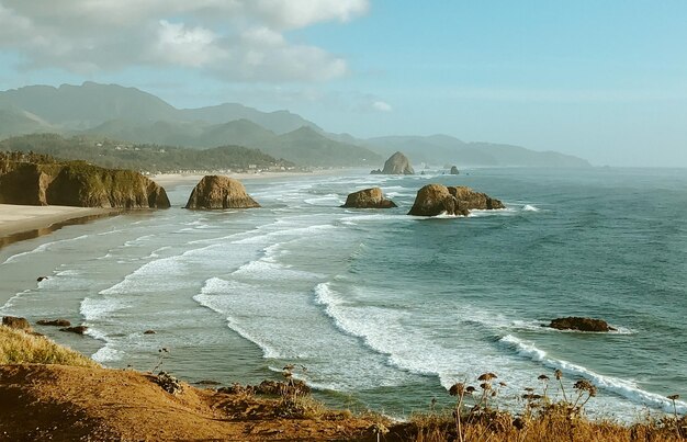 Foto vista da praia dos canhões do parque ecola.