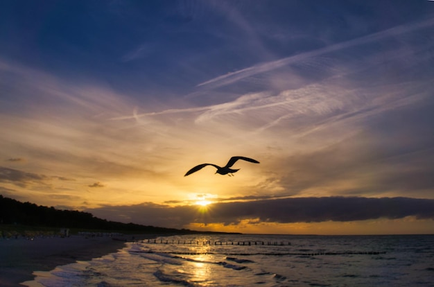 Vista da praia para o mar Báltico ao pôr do sol com gaivotas no céu