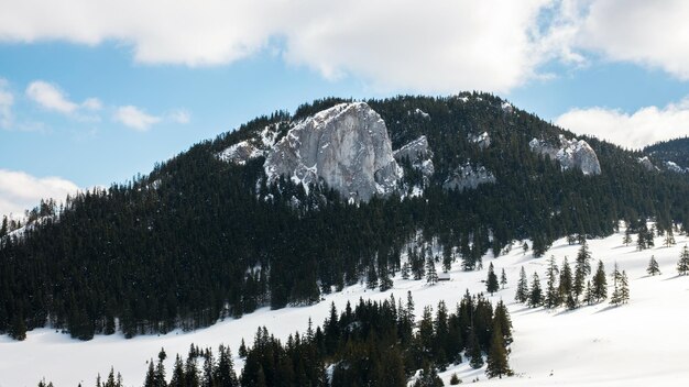 Vista da primavera Cárpatos Romênia Pico rochoso e vale parcialmente coberto com floresta de neve