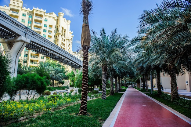 Vista da rua Palm Jumeiraj