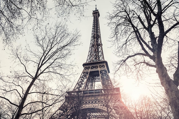 Vista da Torre Eiffel através das árvores em Paris, França.