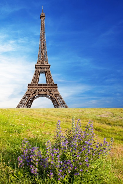 Vista da Torre Eiffel com grama e céu azul