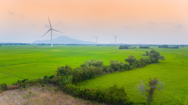 vista da turbina de energia verde moinho de vento para produção de energia elétrica Turbinas eólicas gerando eletricidade em campo de arroz na província de Phan Rang Ninh Thuan, Vietnã