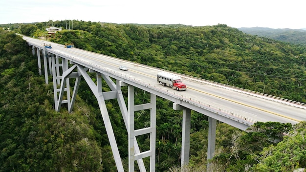 Vista das árvores e da cordilheira