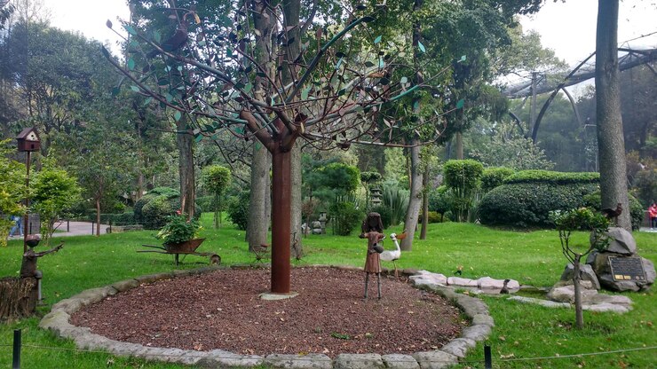 Foto vista das árvores no parque