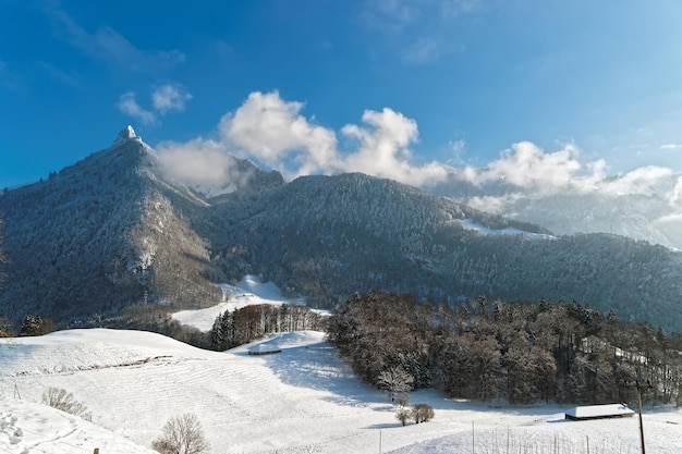 Vista das belas colinas perto do castelo de gruyères com as árvores cobertas de neve sob o céu claro e os alpes suíços ao fundo