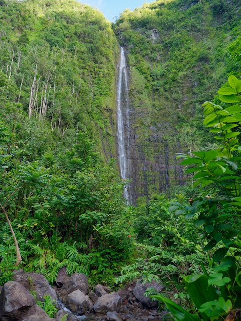 Vista das Cataratas de Waimoku cercadas de vegetação exuberante no Havaí