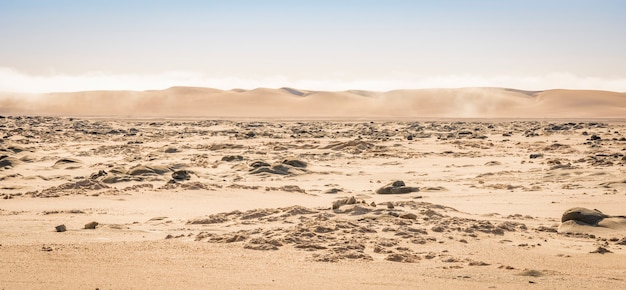 Vista das dunas do deserto da Costa do Esqueleto na Namíbia