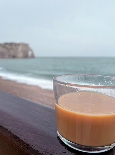 Vista das falésias brancas de Etretat na Normandia França