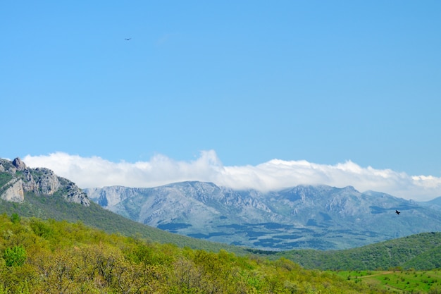 Vista das falésias do topo da montanha