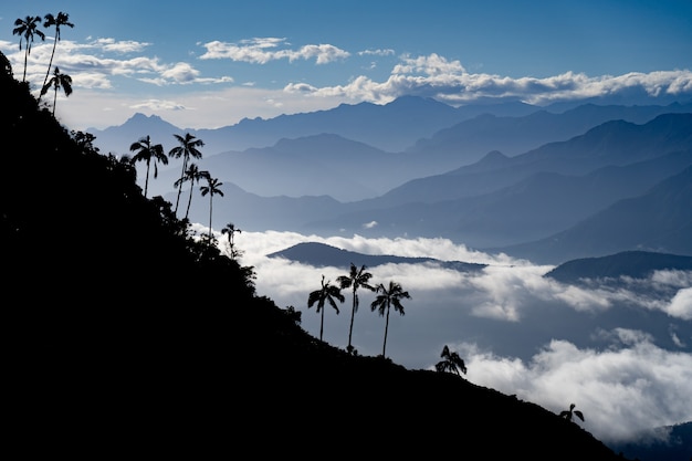 Foto vista das montanhas com o primeiro plano do cloudscape e da palmeira. conceito de viagens e aventura. foto de alta qualidade