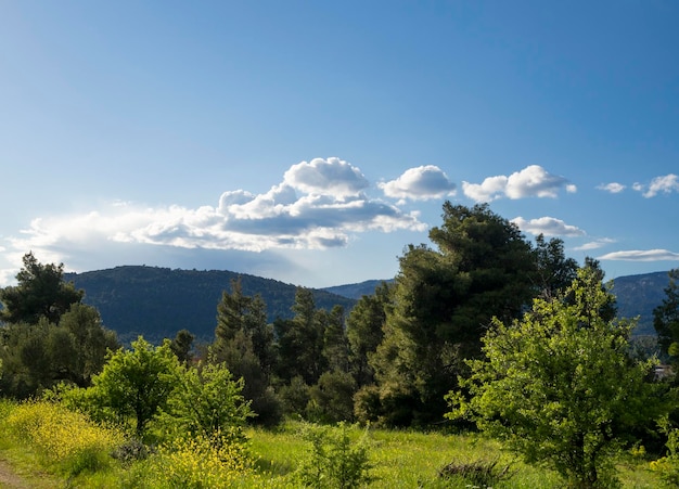 Vista das montanhas da floresta de prado e céu com nuvens na ilha grega de Evia, na Grécia