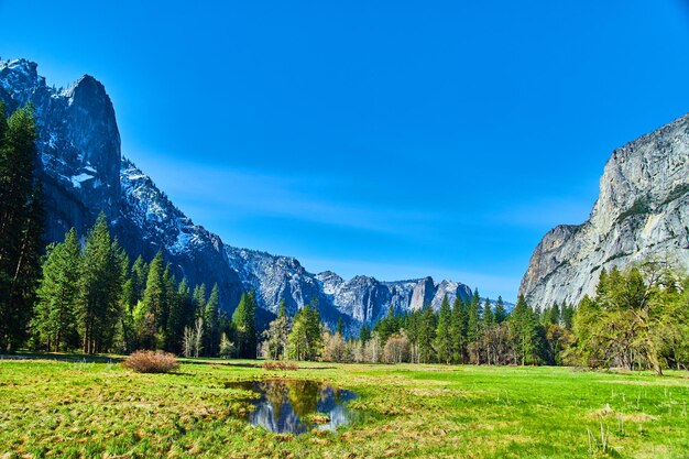 Vista das montanhas dos campos do vale de Yosemite