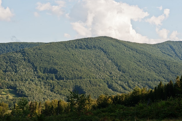 Vista das montanhas dos Cárpatos no oeste da Ucrânia