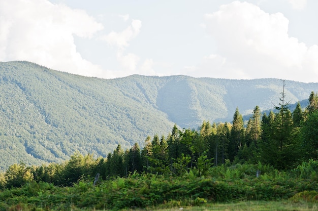 Vista das montanhas dos Cárpatos no oeste da Ucrânia