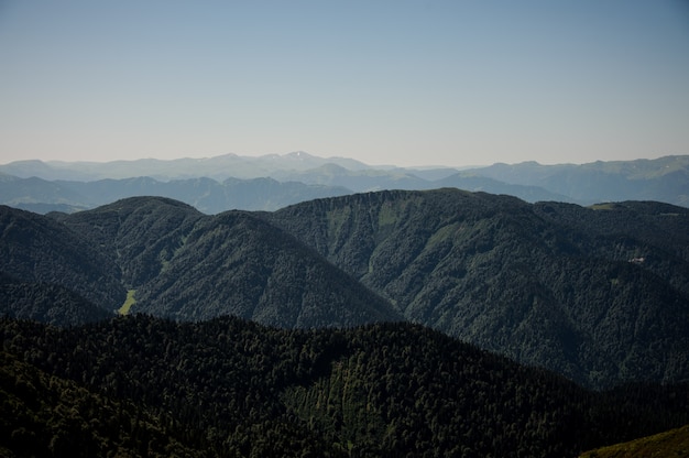 Vista das montanhas sob o céu claro no dia coberto de florestas sempre-verdes