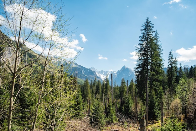 Vista das montanhas Tatras