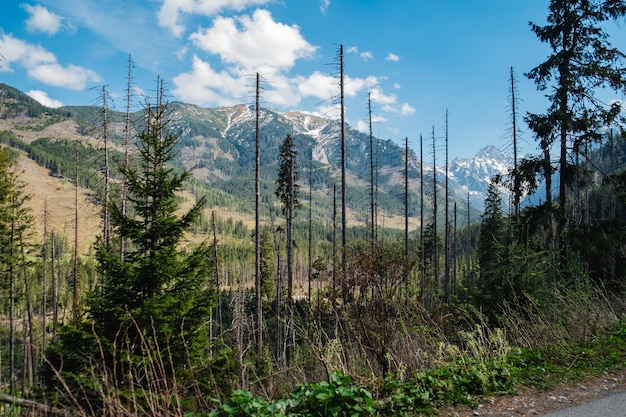 Vista das montanhas Tatras