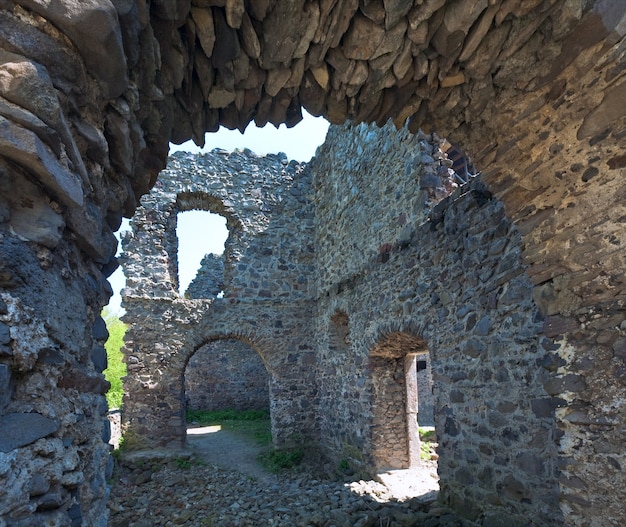 Vista das ruínas do castelo de nevytsky no verão (vila kamyanitsa, 12 km ao norte de uzhhorod, oblast de zakarpattia, ucrânia). construída no século xiii.