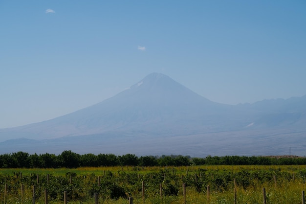 Vista das vinhas da montanha Aratrat. Campo de uvas no vale de Ararat. Vista de Khor Virap e Monte Ararat. Paisagem pitoresca da cordilheira da Armênia. Banco de imagens