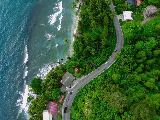 Foto vista de alto ângulo da cidade costeira e da floresta