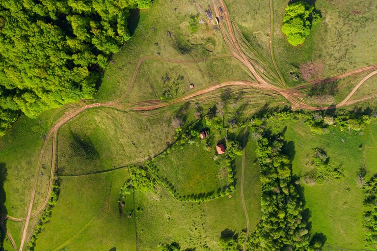 Foto vista de alto ângulo da estrada no meio das árvores