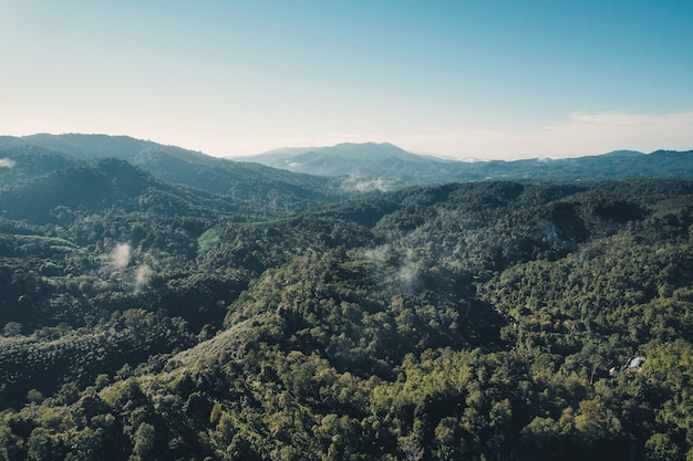 Vista de alto ângulo da floresta e nevoeiro pela manhã, Acima