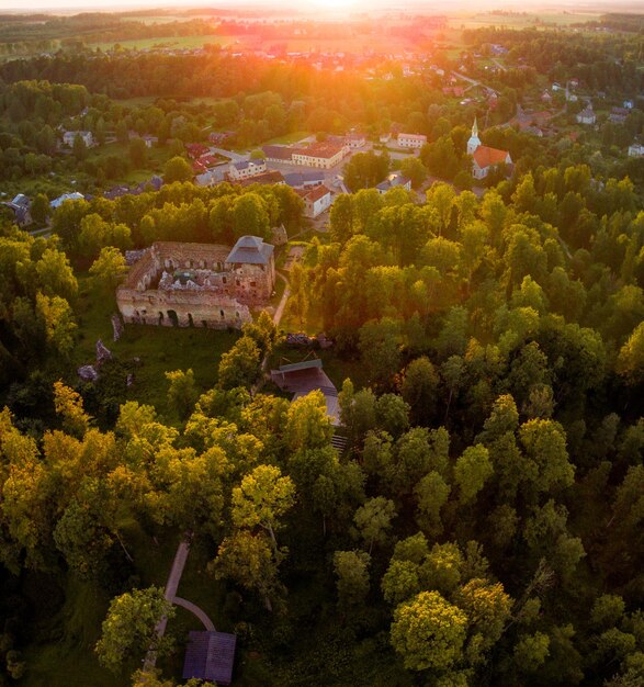 Foto vista de alto ângulo da paisagem urbana e das árvores na cidade