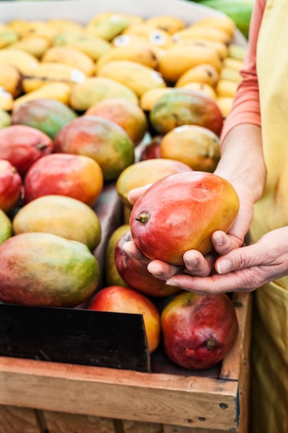 Foto vista de alto ângulo da pessoa segurando manga fresca em um mercado de frutas e vegetais.