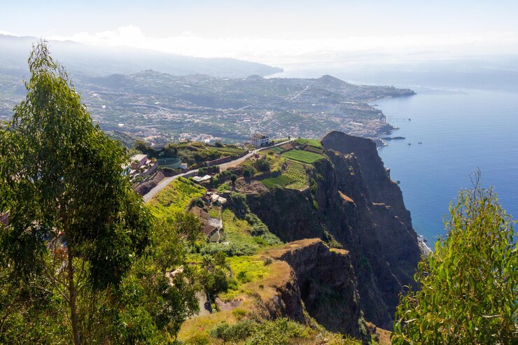 Foto vista de alto ângulo de árvores e mar contra o céu