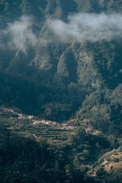 Vista de alto ângulo de árvores na montanha