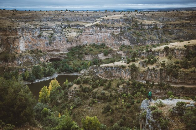 Vista de alto ângulo de árvores pelo rio