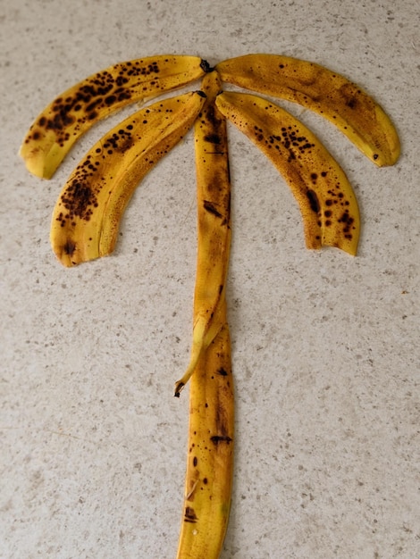 Foto vista de alto ângulo de bananas contra fundo branco