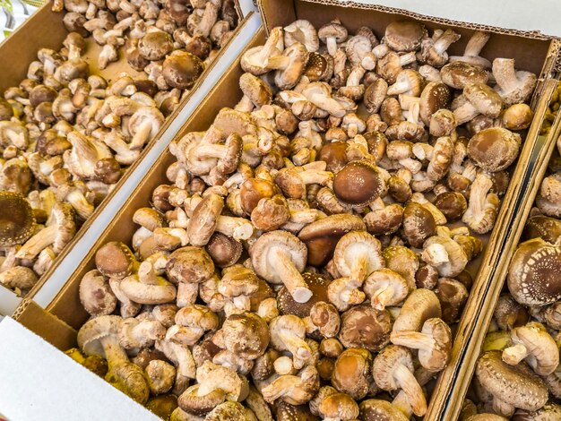 Foto vista de alto ângulo de cogumelos à venda na barraca do mercado