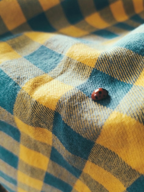 Foto vista de alto ângulo de lady bug na cama