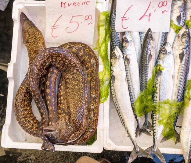 Vista de alto ângulo de peixes para venda no mercado