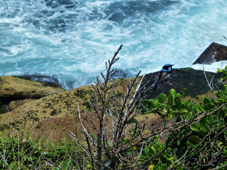 Foto vista de alto ângulo de rochas do mar