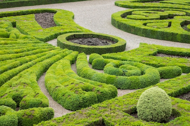 Vista de alto ângulo de sebes em jardim formal