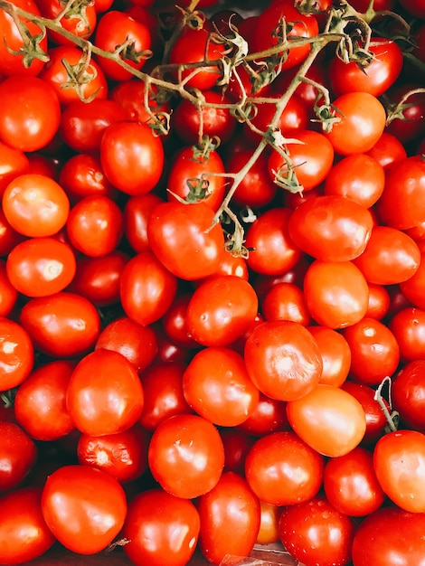 Vista de alto ângulo de tomates frescos