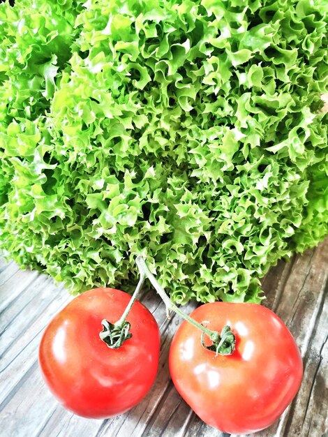 Foto vista de alto ângulo de tomates na planta