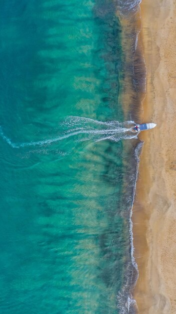 Foto vista de alto ângulo de um animal no mar