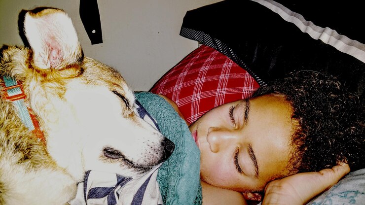 Foto vista de alto ângulo de um menino dormindo com um cachorro