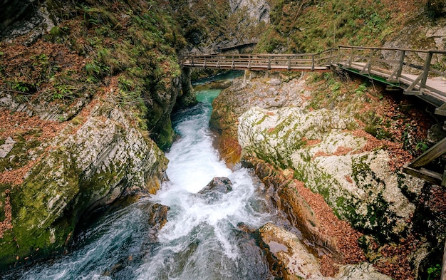 Foto vista de alto ângulo de uma cachoeira na floresta