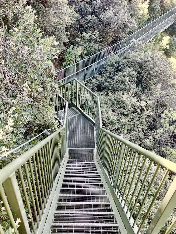 Foto vista de alto ângulo de uma ponte pedonal na floresta