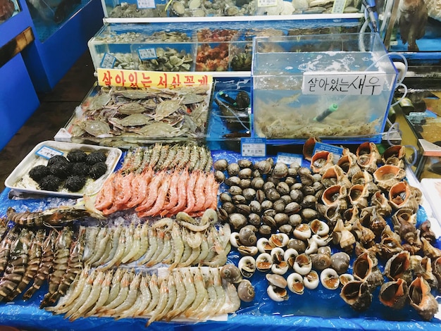 Foto vista de alto ângulo de vários frutos do mar à venda na barraca do mercado