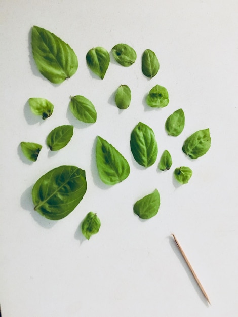 Foto vista de alto ângulo de vegetais em fundo branco